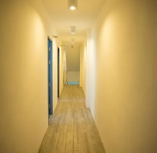 The Rabbit's Hole